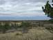 11 Nov 08 - Scenery 2.JPG